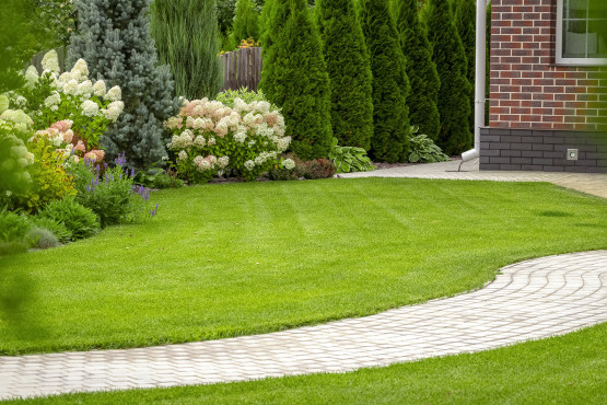 Landscaping Contractor in Chester County, PA